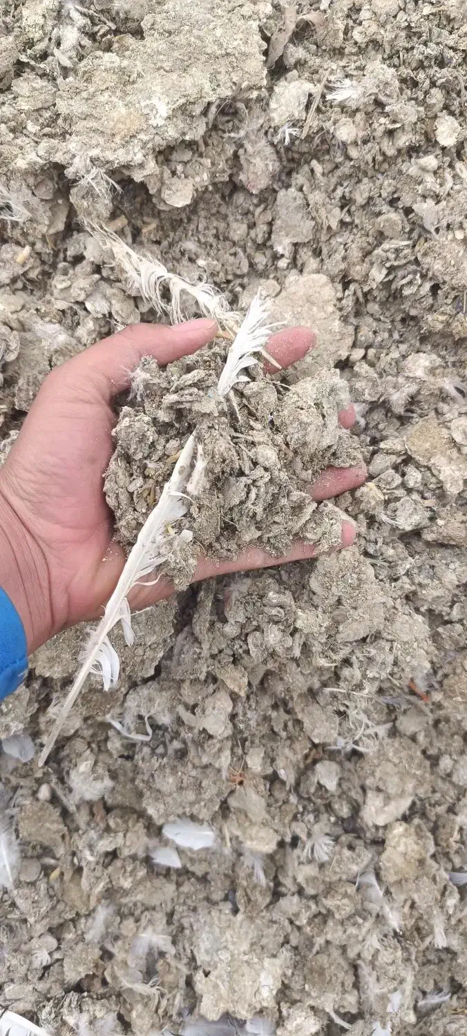 کود کبوتر|خدمات باغبانی و درختکاری|ارومیه, |دیوار