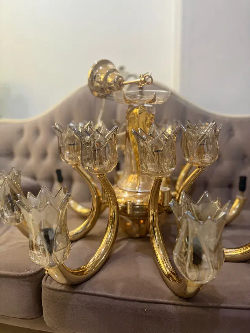 لوستر۱۶ شاخه عاج فیل|لوستر و چراغ آویز|کرج, گلشهر|دیوار