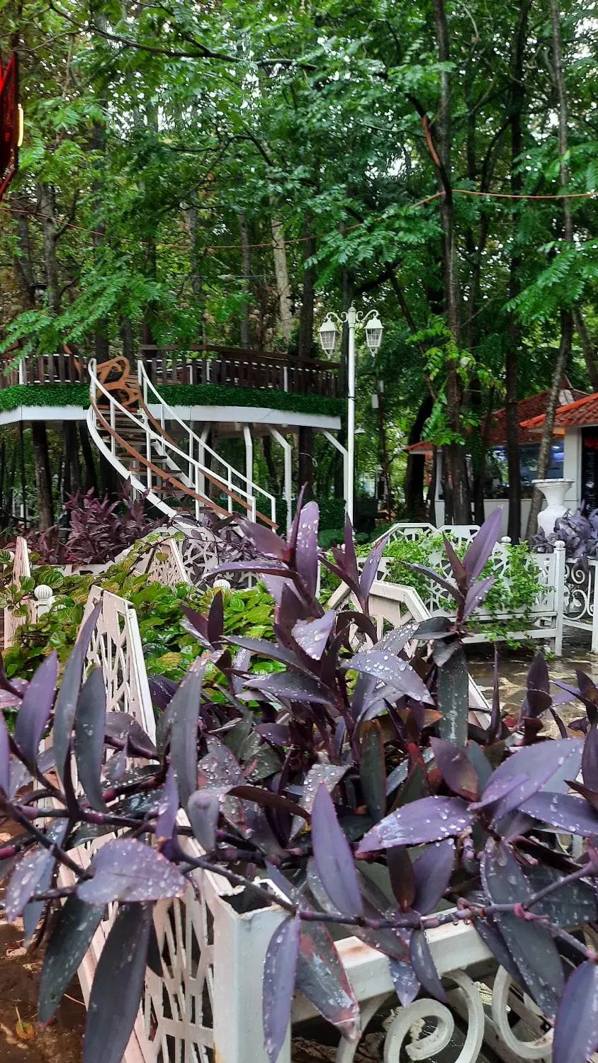 استخدام همکار کافه فست فود طاهباز|استخدام خدمات فروشگاه و رستوران|محمودآباد, |دیوار