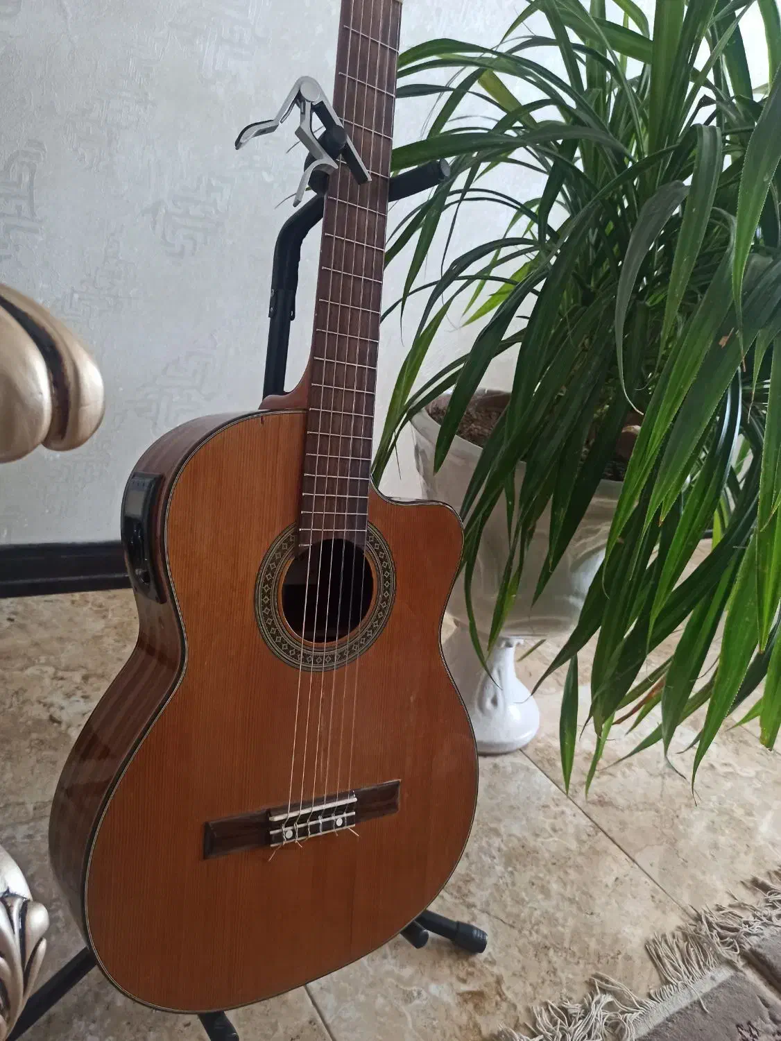 گیتار کوردوبز|گیتار، بیس، امپلیفایر|آباده, |دیوار