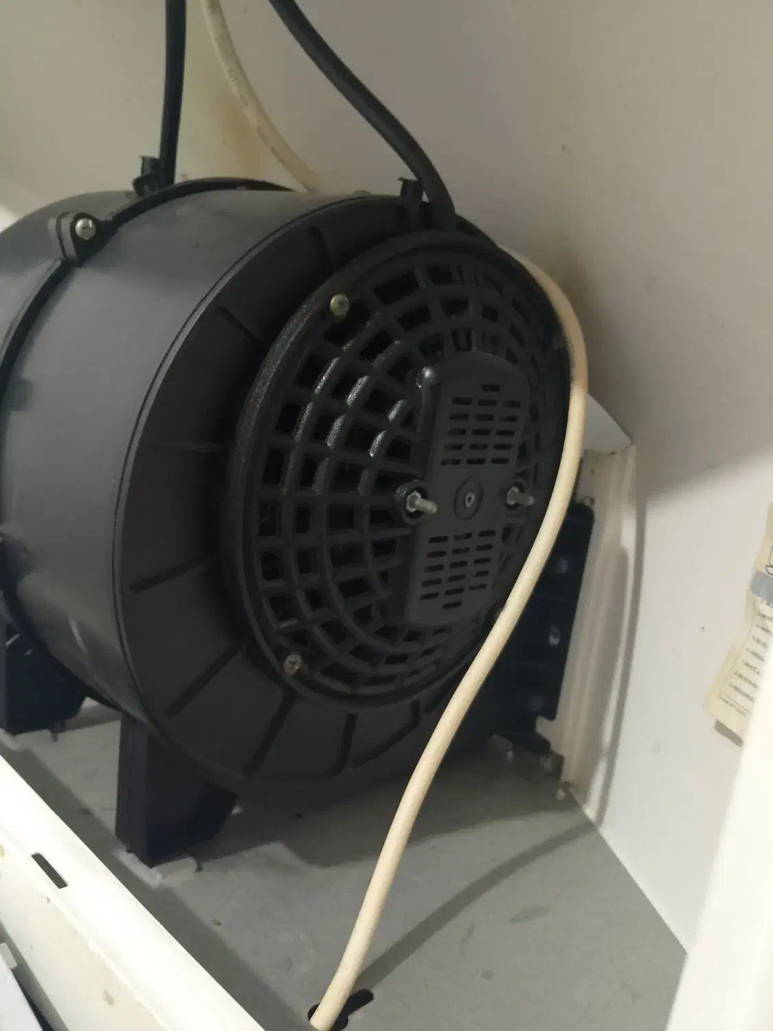 هود دورسا|هود|کاشمر, |دیوار