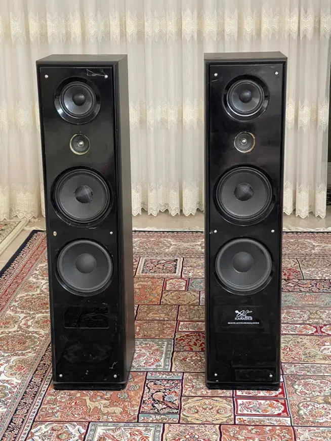 اسپیکر|سیستم صوتی خانگی|بروجن, |دیوار