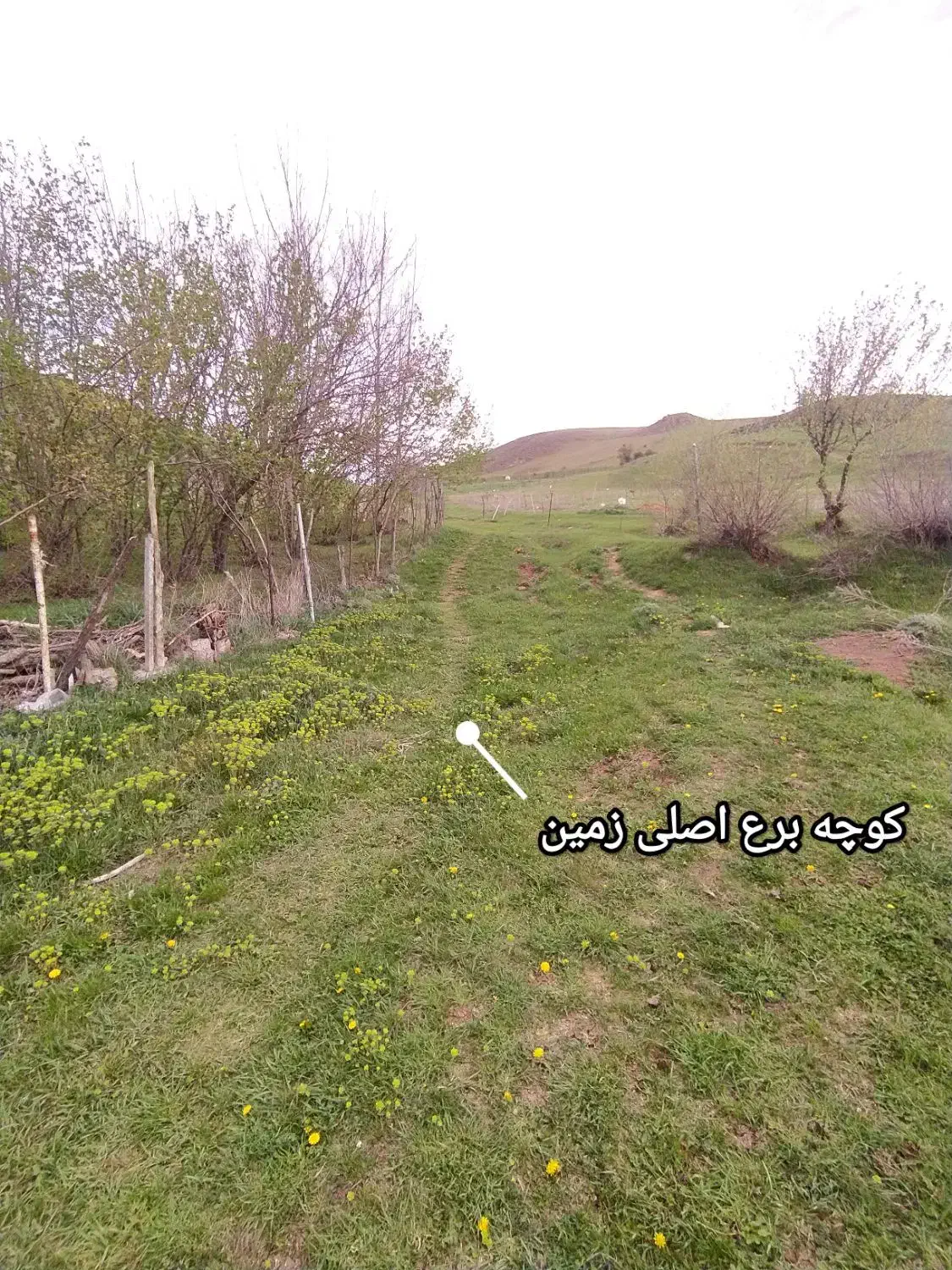 ۲۰۰متر زمین مسکونی دیلمان|فروش زمین و ملک کلنگی|دیلمان, |دیوار