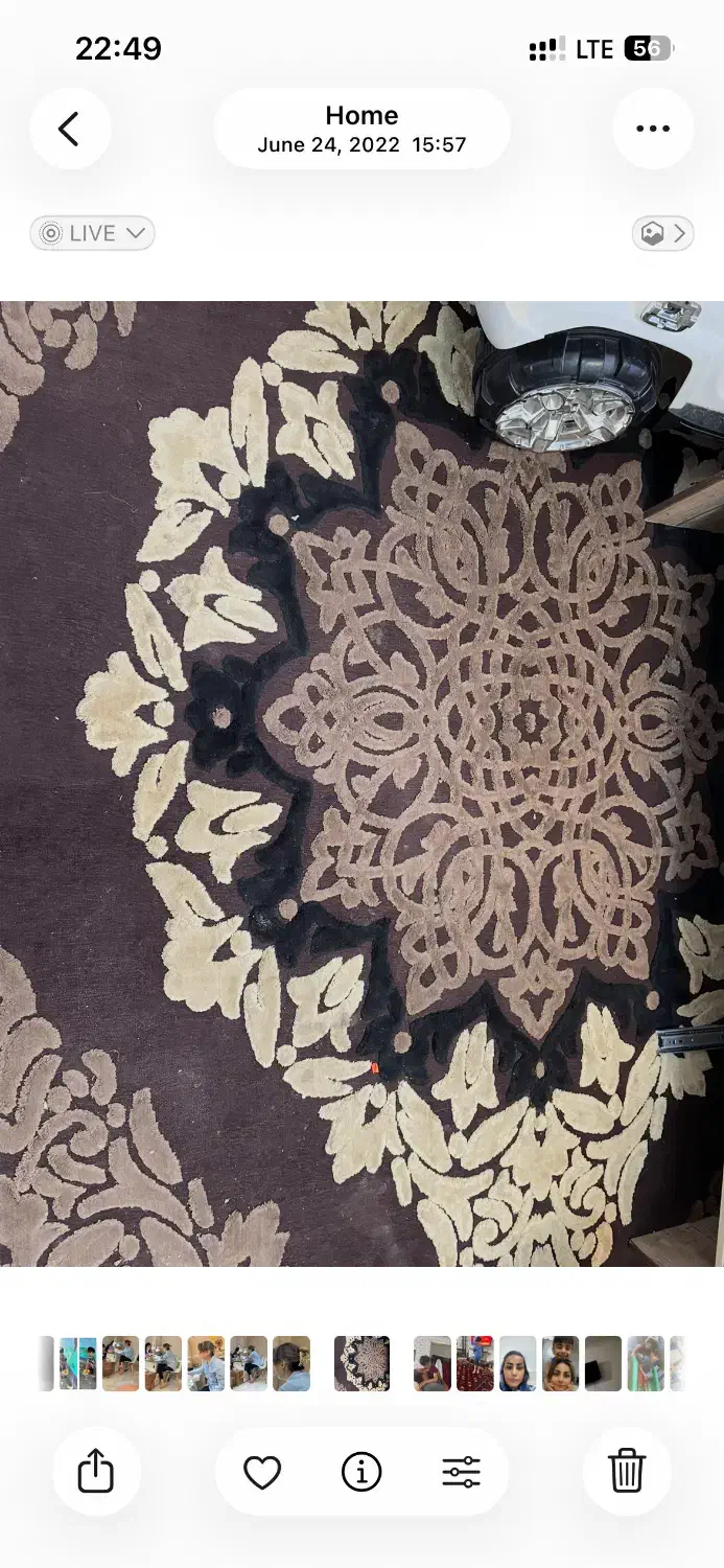 فرش ۶ متری فانتزی|فرش|گرگان, |دیوار