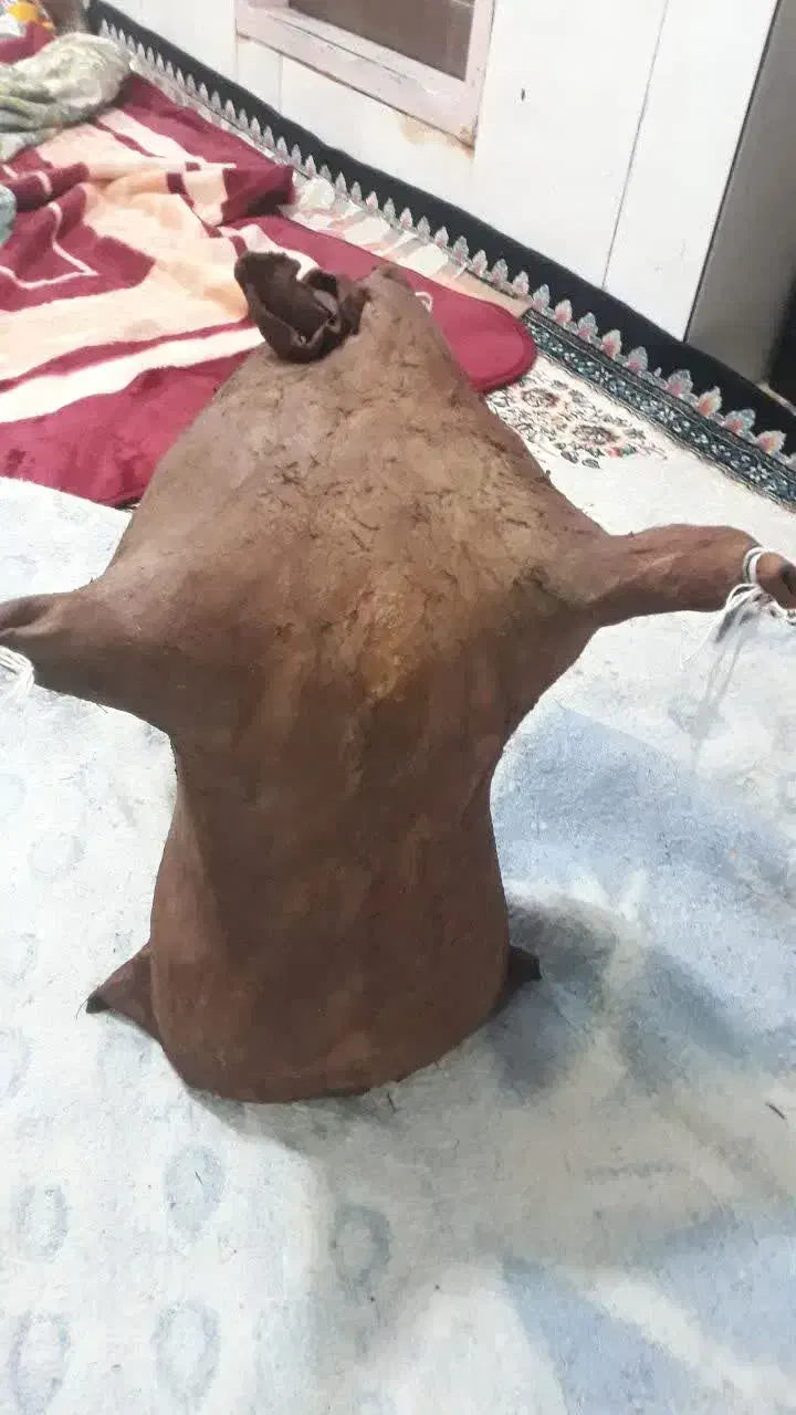 تعدای مشک|ظروف نگهدارنده، پلاستیکی، یکبارمصرف|کشکوئیه, |دیوار