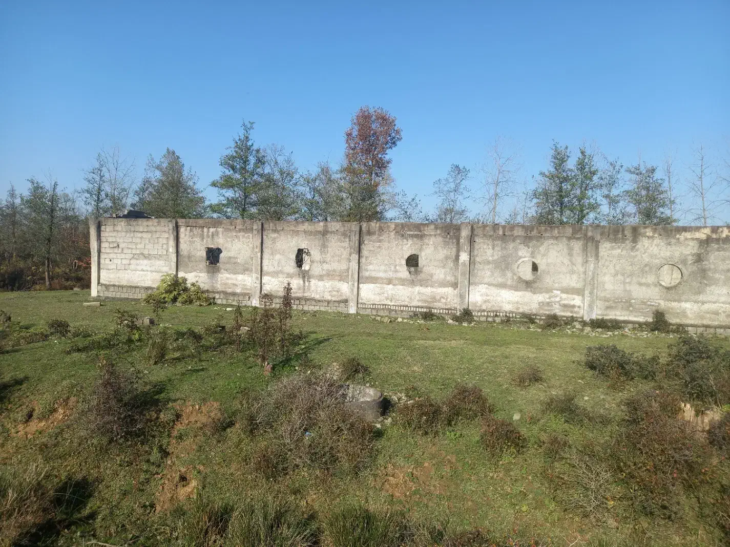 زمین مرغداری|فروش زمین و ملک کلنگی|سیاهکل, |دیوار