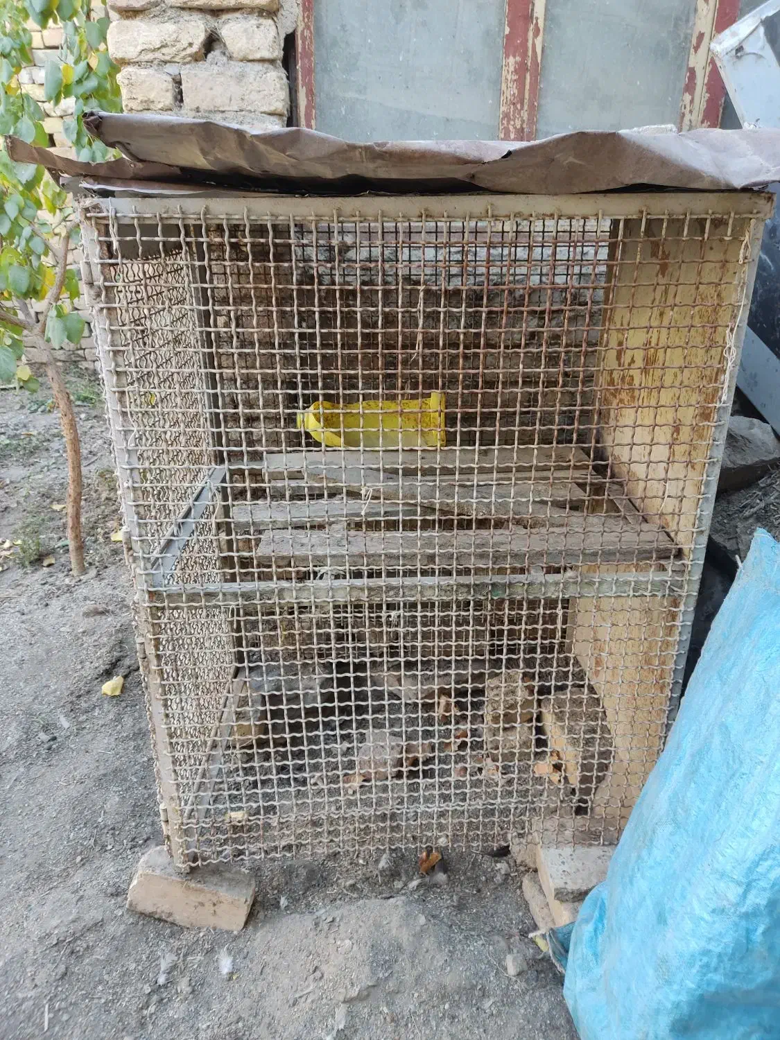 قفس مرغ|لوازم جانبی حیوانات|خوانسار, |دیوار