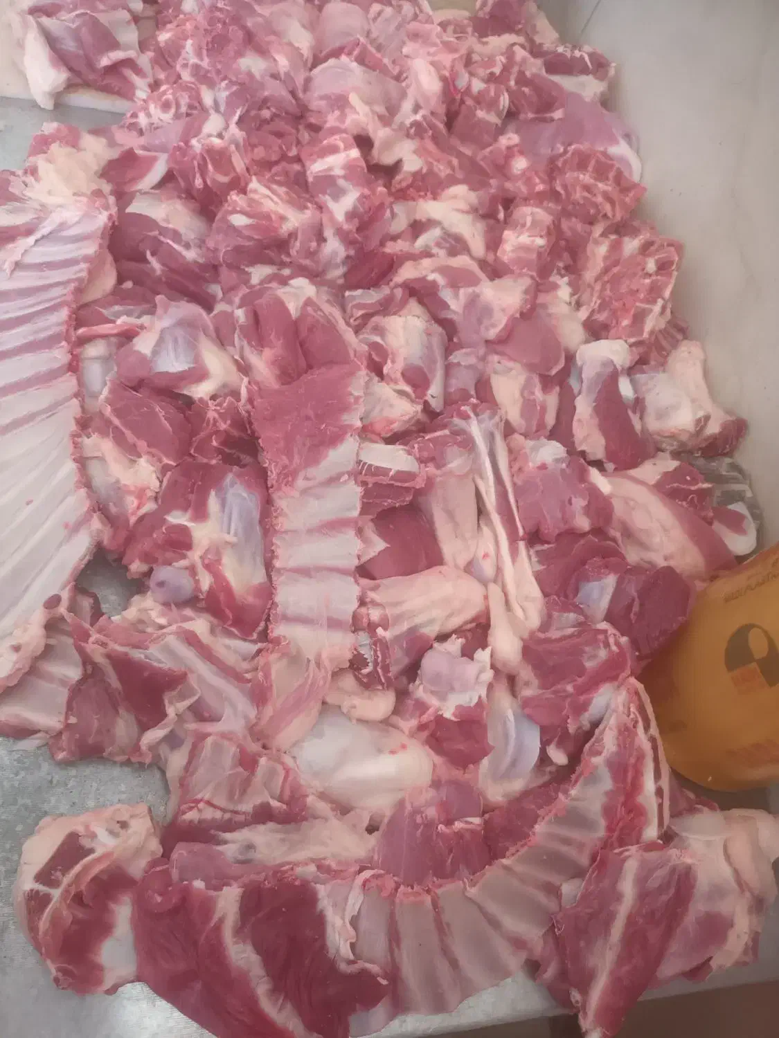 گوسفند زنده و گوشت تازه کلی و جزئی گلبهار نوبهار|حیوانات مزرعه|گلبهار, نوبهار|دیوار