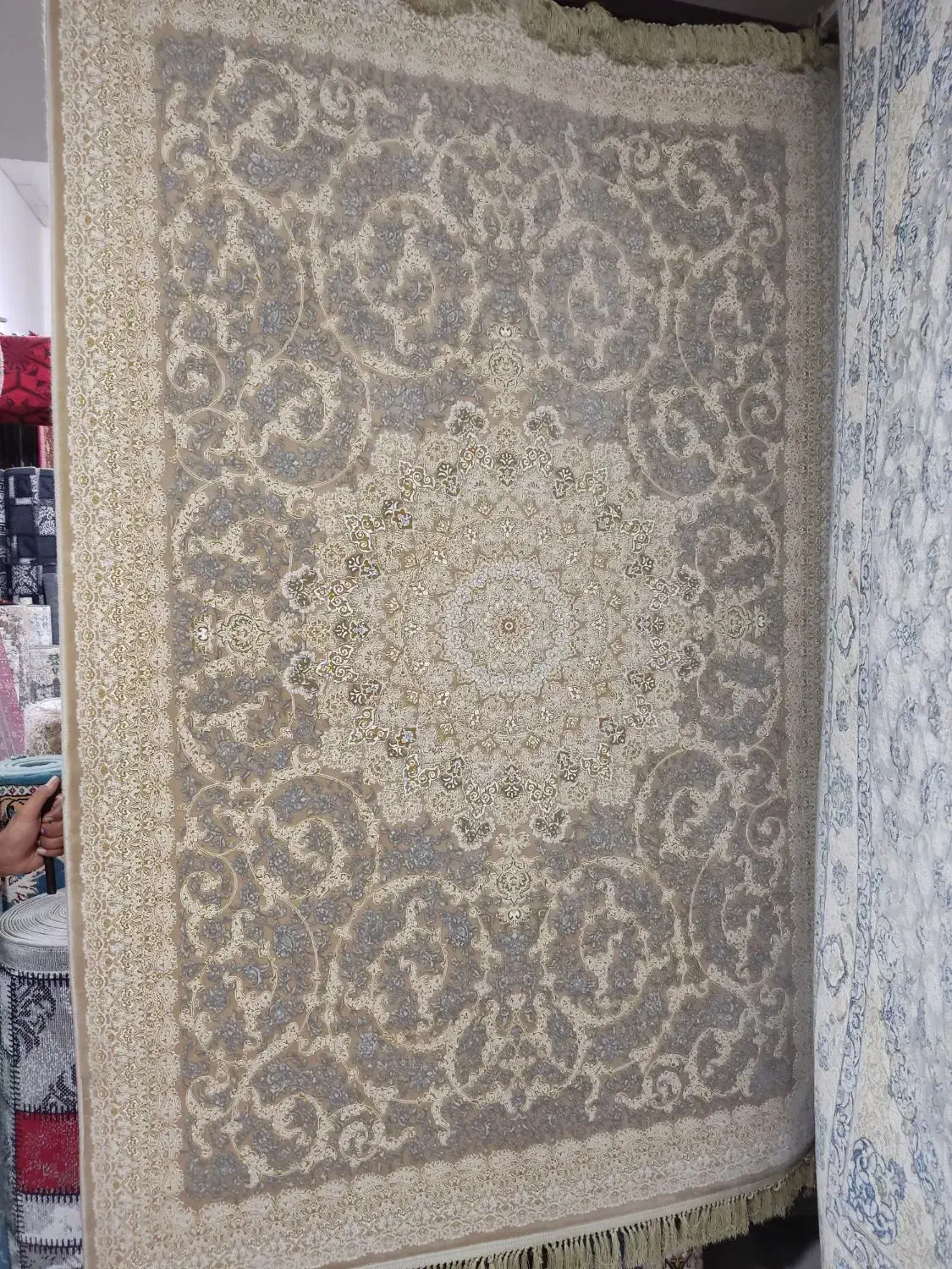 فرش ۴متری ۳۶۰۰ تراکم برجسته|فرش|بندرعباس, |دیوار