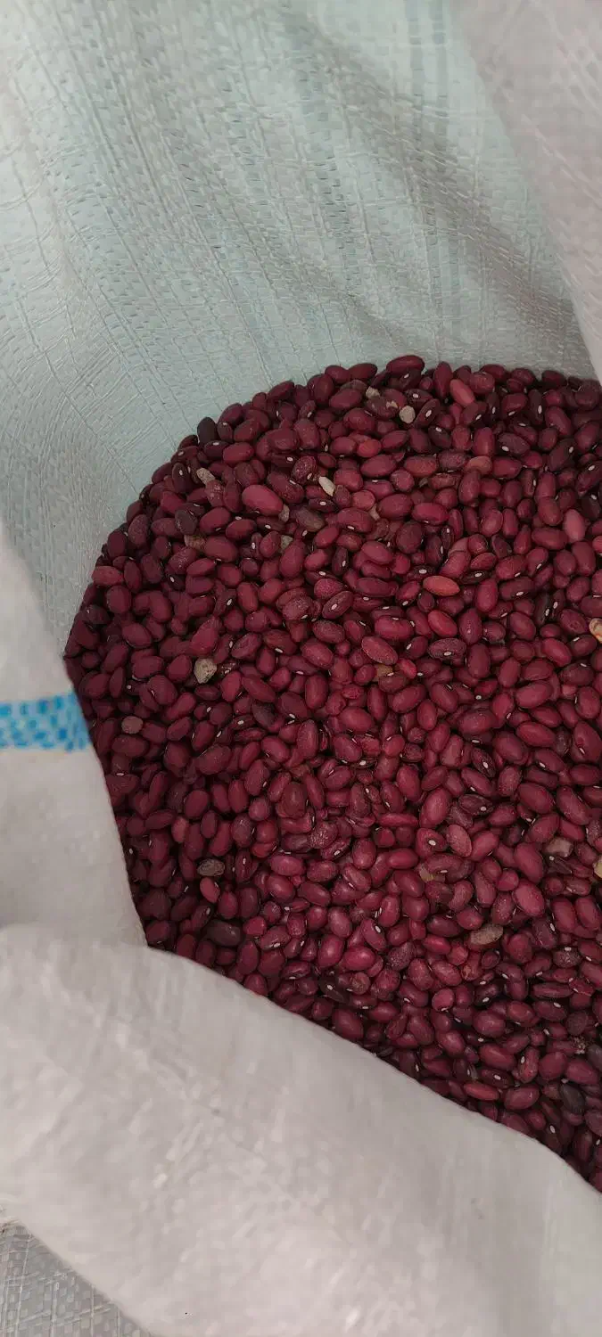 لوبیاقرمز|خوردنی و آشامیدنی|پاسارگاد, |دیوار