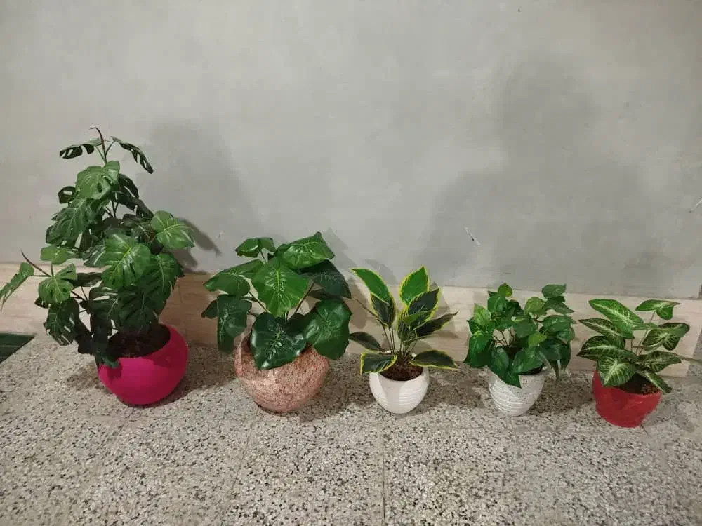 گلدان به همراه گل|گل مصنوعی|ساری, |دیوار