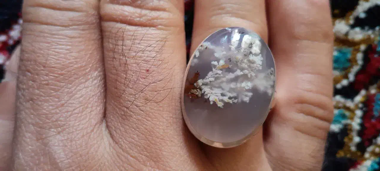 شجر فردوس|جواهرات|خرمآباد, |دیوار