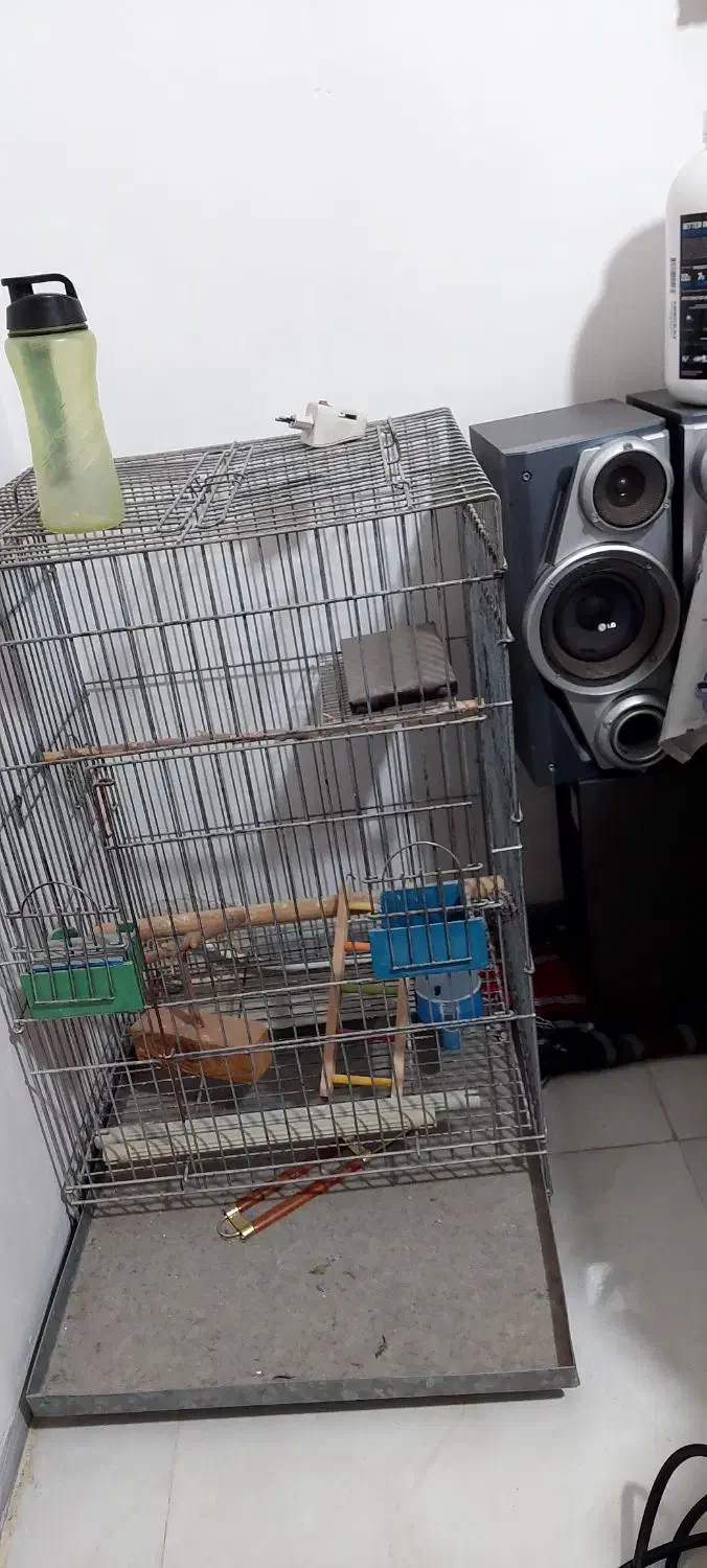 قفس بزرگ کاسکو و عروس هلندی|لوازم جانبی حیوانات|بدره, |دیوار