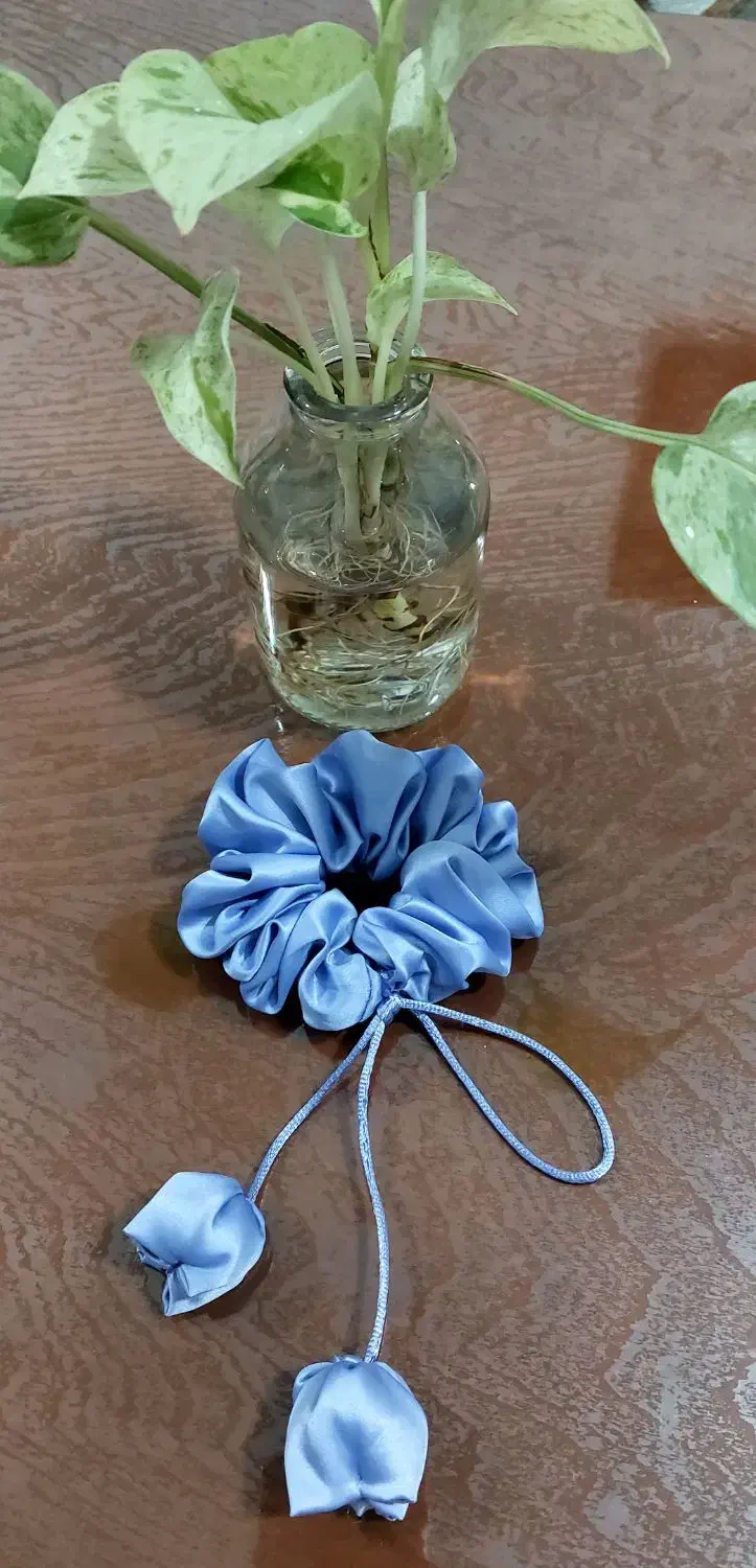 کش مو|بدلیجات|کرج, پیشاهنگی|دیوار