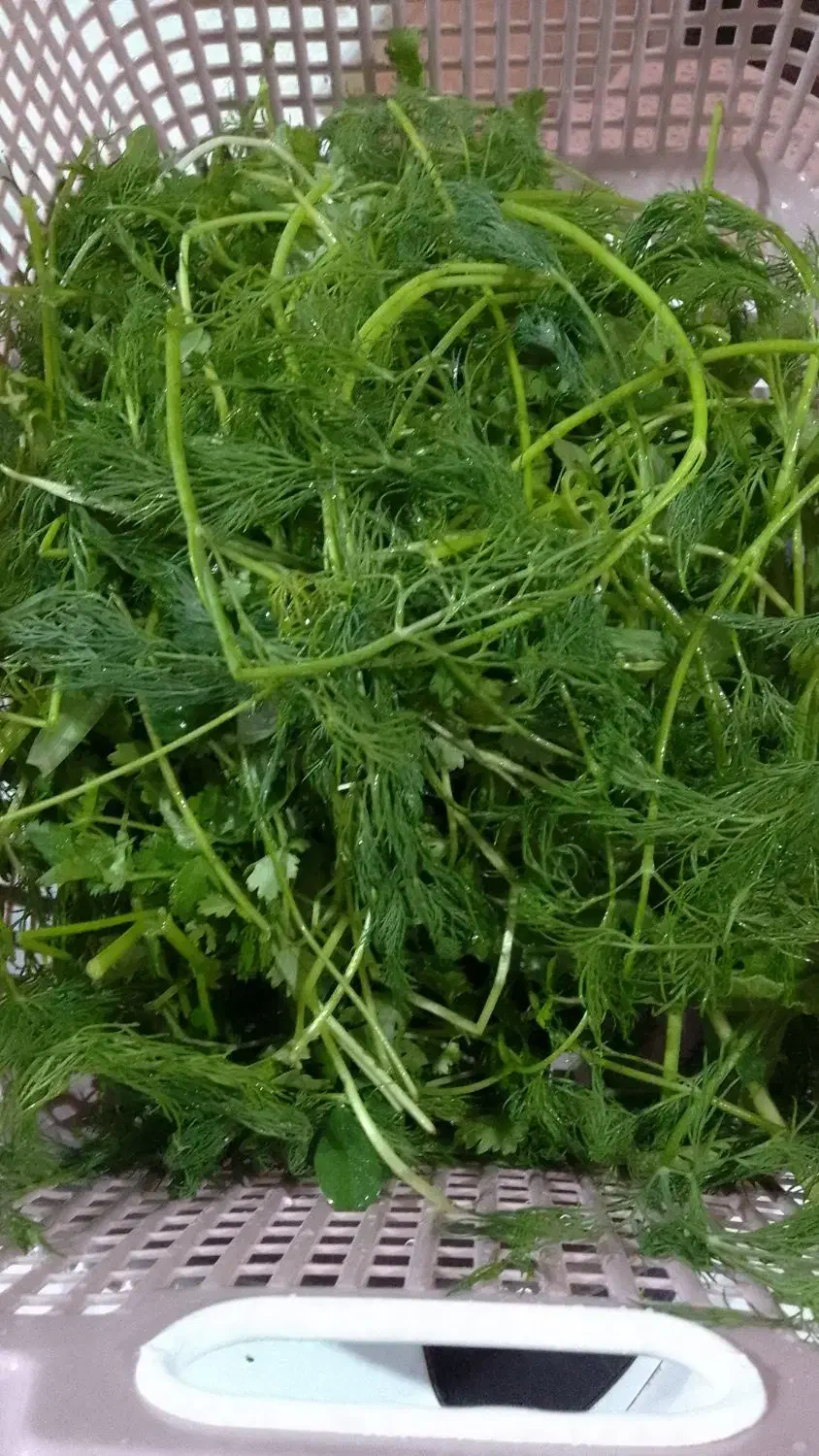 سبزی خورشتی بخار پز  با عطر بو بسیارعالی|خوردنی و آشامیدنی|رامهرمز, |دیوار