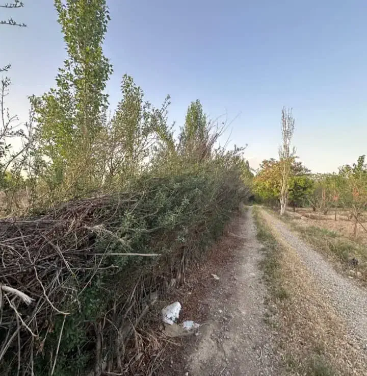 زمین کشاورزی مناسب برای گلخانه،پرورش ماهی وباغچه|فروش زمین و ملک کلنگی|کهریزک, |دیوار