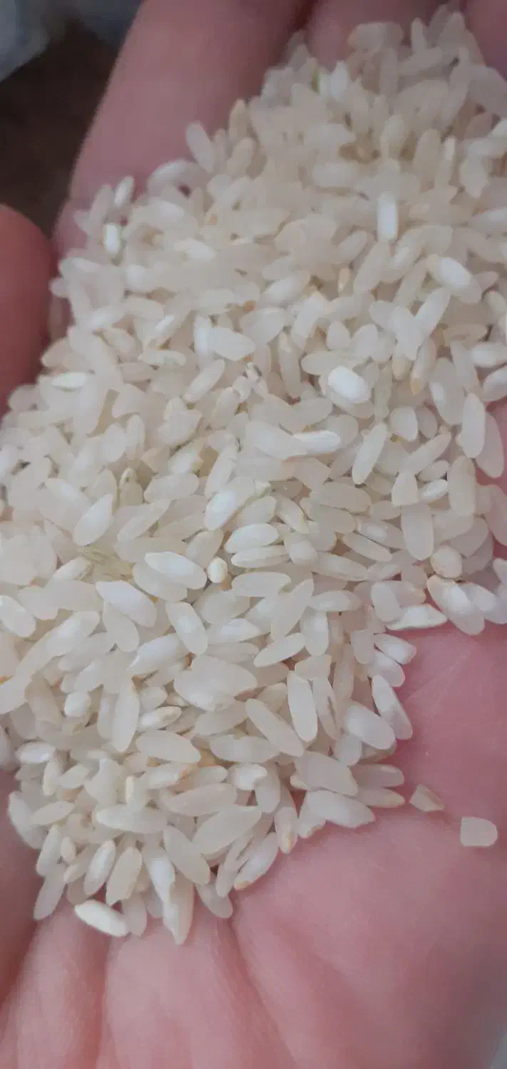 برنج|خوردنی و آشامیدنی|مرودشت, فاز دوم شهرک فرهنگیان|دیوار