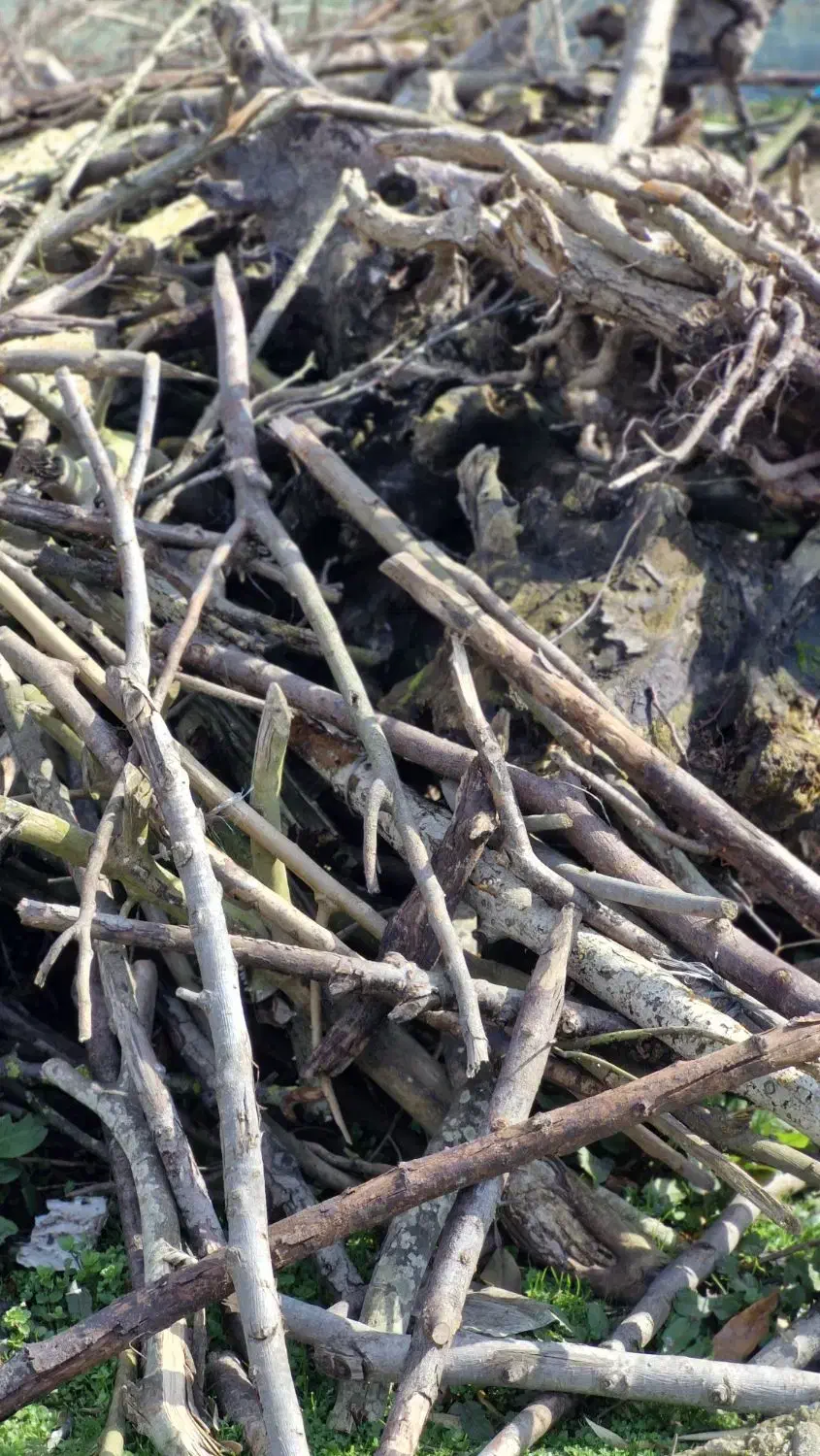 هیزم|عمده‌فروشی|لاهیجان, بازکیاگوراب|دیوار