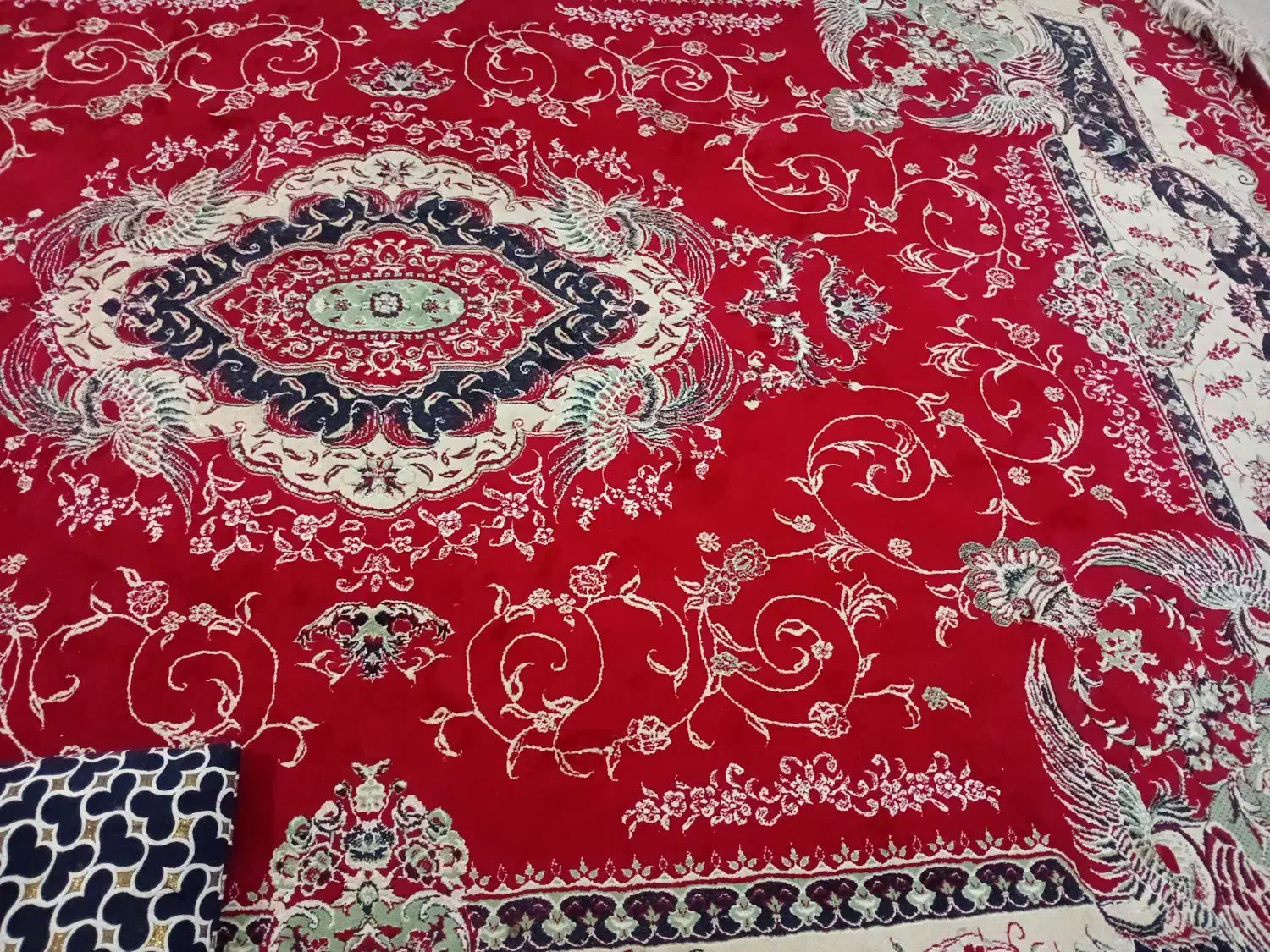 فرش|فرش|رفسنجان, |دیوار