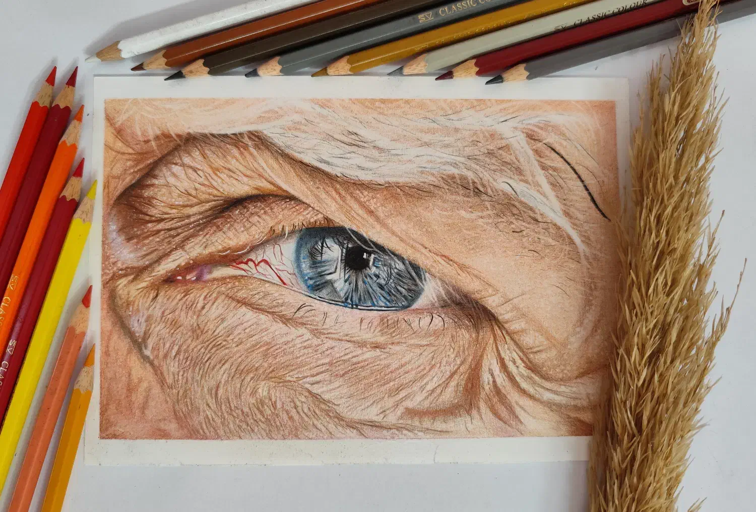 آموزش نقاشی کودکان و بزرگسالان|خدمات آموزشی|ساوه, |دیوار