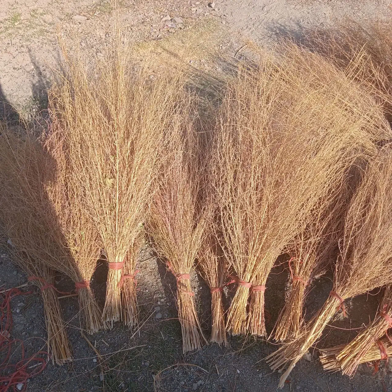 جارو کردی|جاروبرقی، جارو شارژی، بخارشو|کامیاران, |دیوار