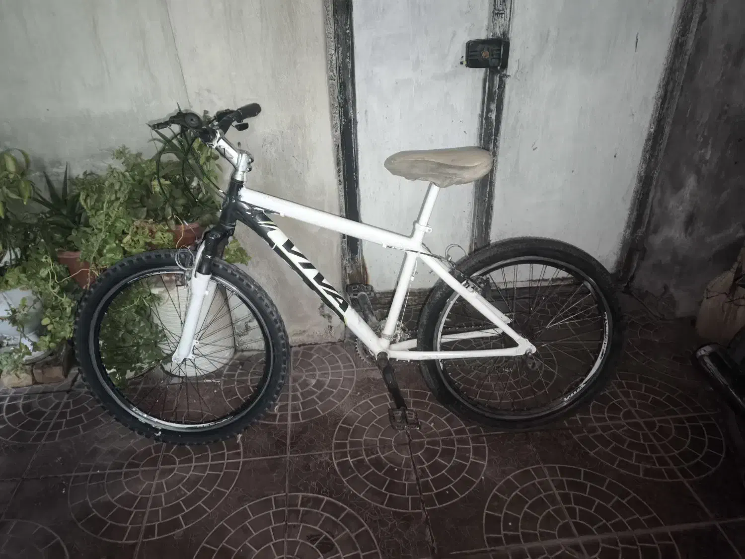 دوچرخه ویوا 26|دوچرخه، اسکیت، اسکوتر|تربت جام, والفجر|دیوار