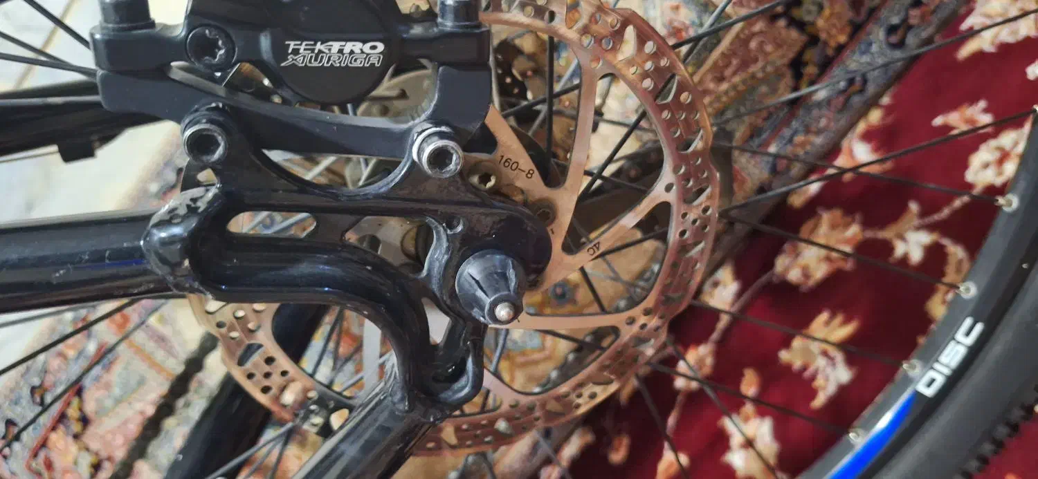 دوچرخه|دوچرخه، اسکیت، اسکوتر|تربت‌حیدریه, کلاته توکلی|دیوار