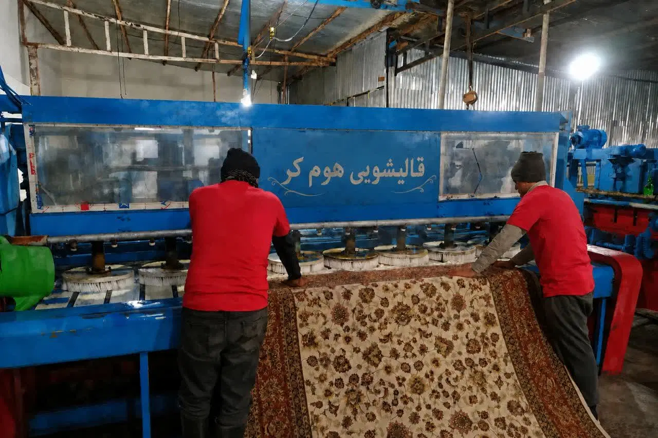 قالیشوی شرق تهرانپارس مجیدیه پیروزی رسالت و غیره..|خدمات نظافت|تهران, فدک|دیوار