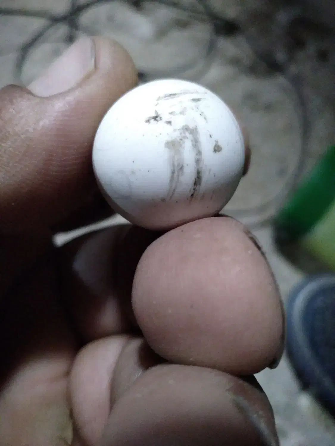 سنگ الماس اسیاب اصلی|فعالیت داوطلبانه|خانمیرزا, |دیوار