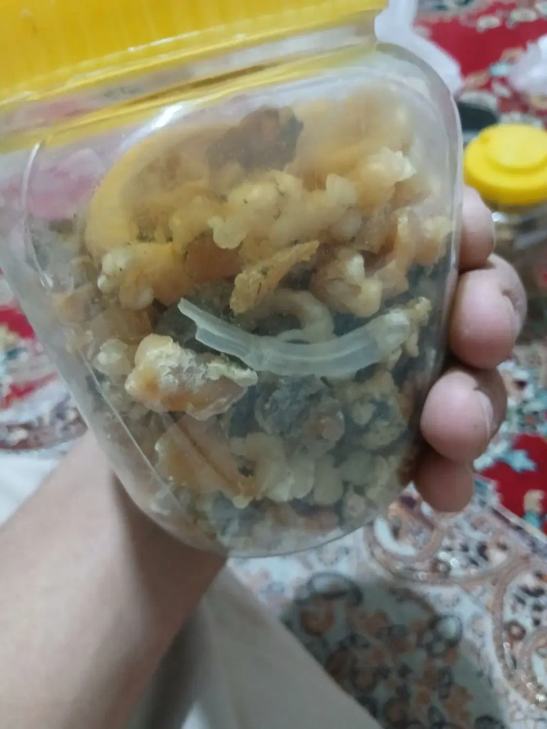 گیاهی|خوردنی و آشامیدنی|تهران, امیریه|دیوار