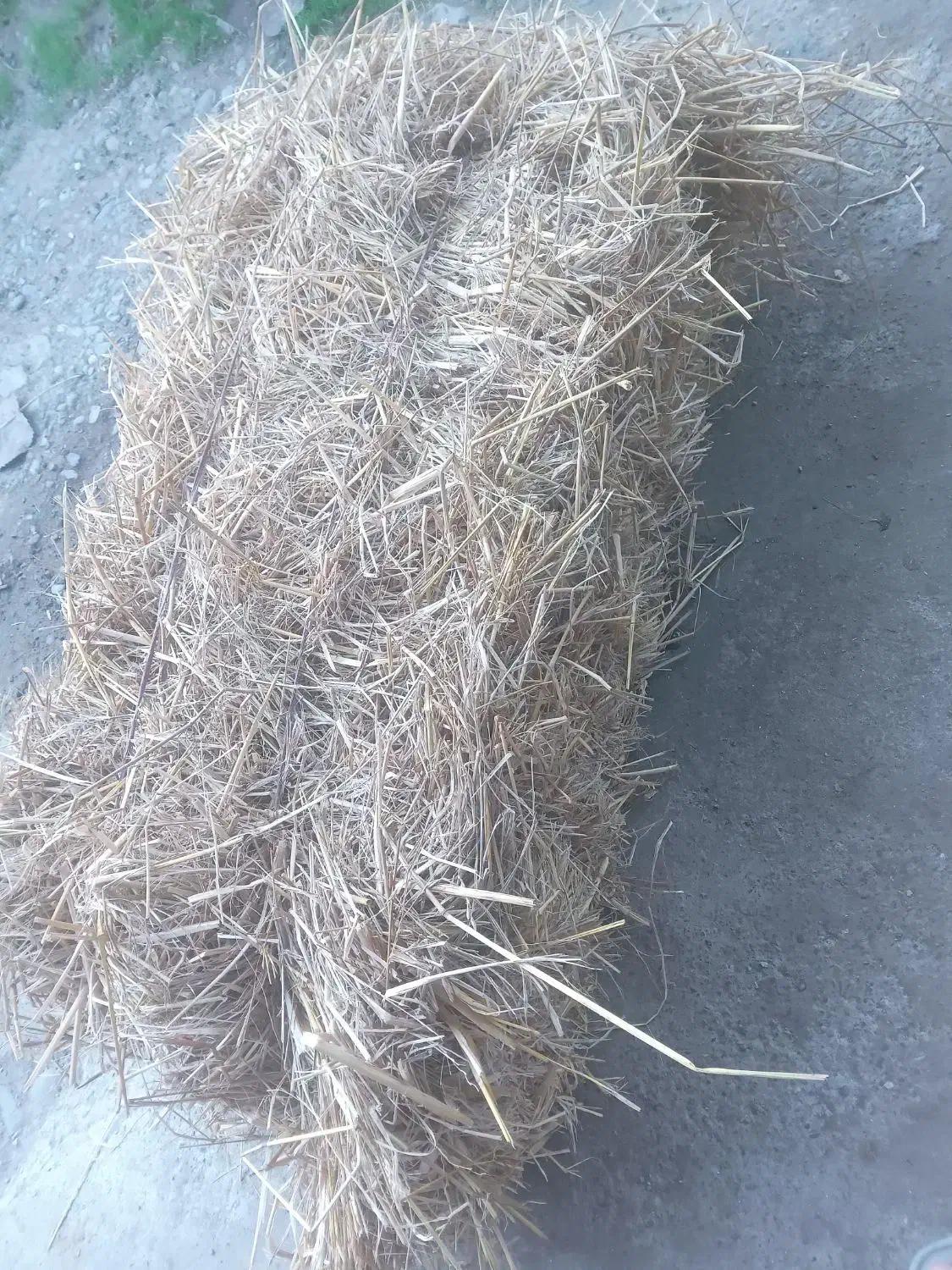 ۳۷۰ عدد کاه بسته بندی شده|حیوانات مزرعه|لولمان, |دیوار