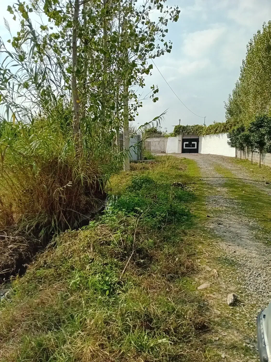 زمین شهرکی با شرایط ویژه|فروش زمین و ملک کلنگی|دابودشت, |دیوار