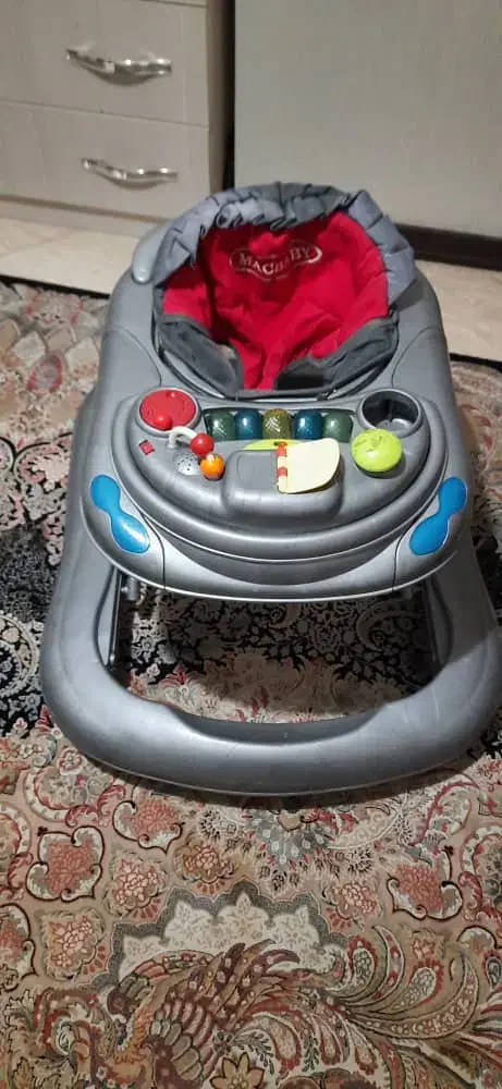 کالسکه دلیجان و روروئک|کالسکه و لوازم جانبی|کرج, باغستان|دیوار