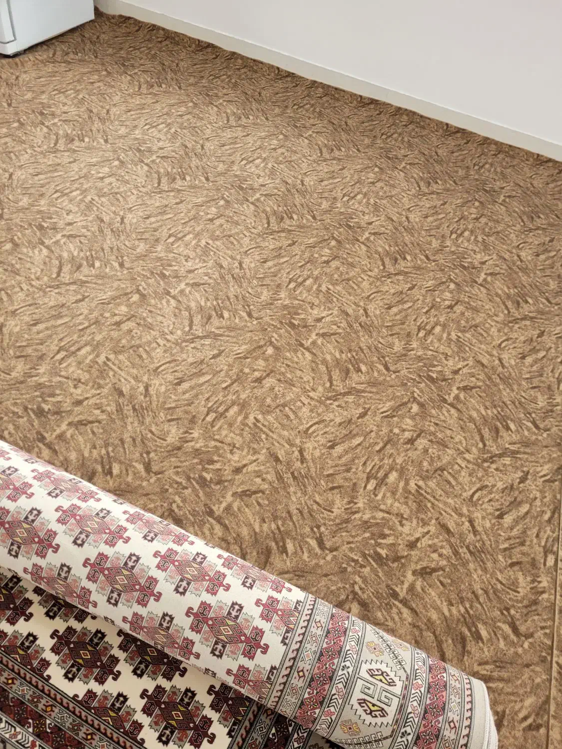 موکت نو فوم دار|موکت|آق قلا, |دیوار