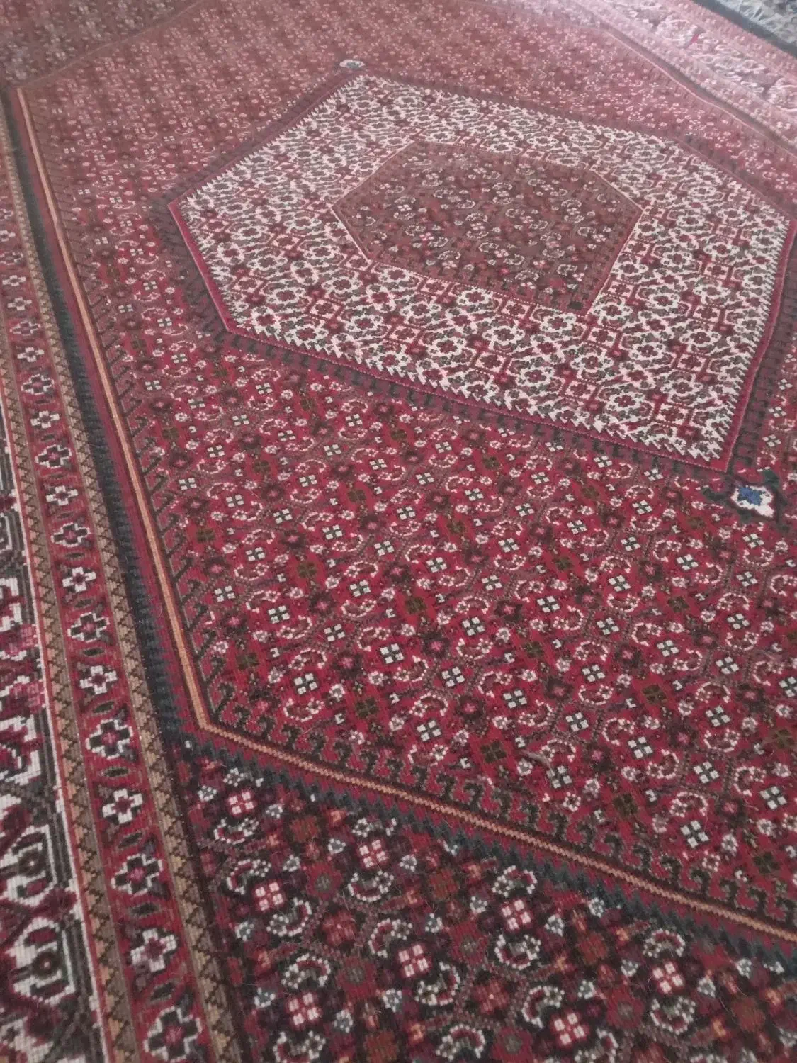 یک تخته فرش ۶ متری زنجان|فرش|زنجان, |دیوار