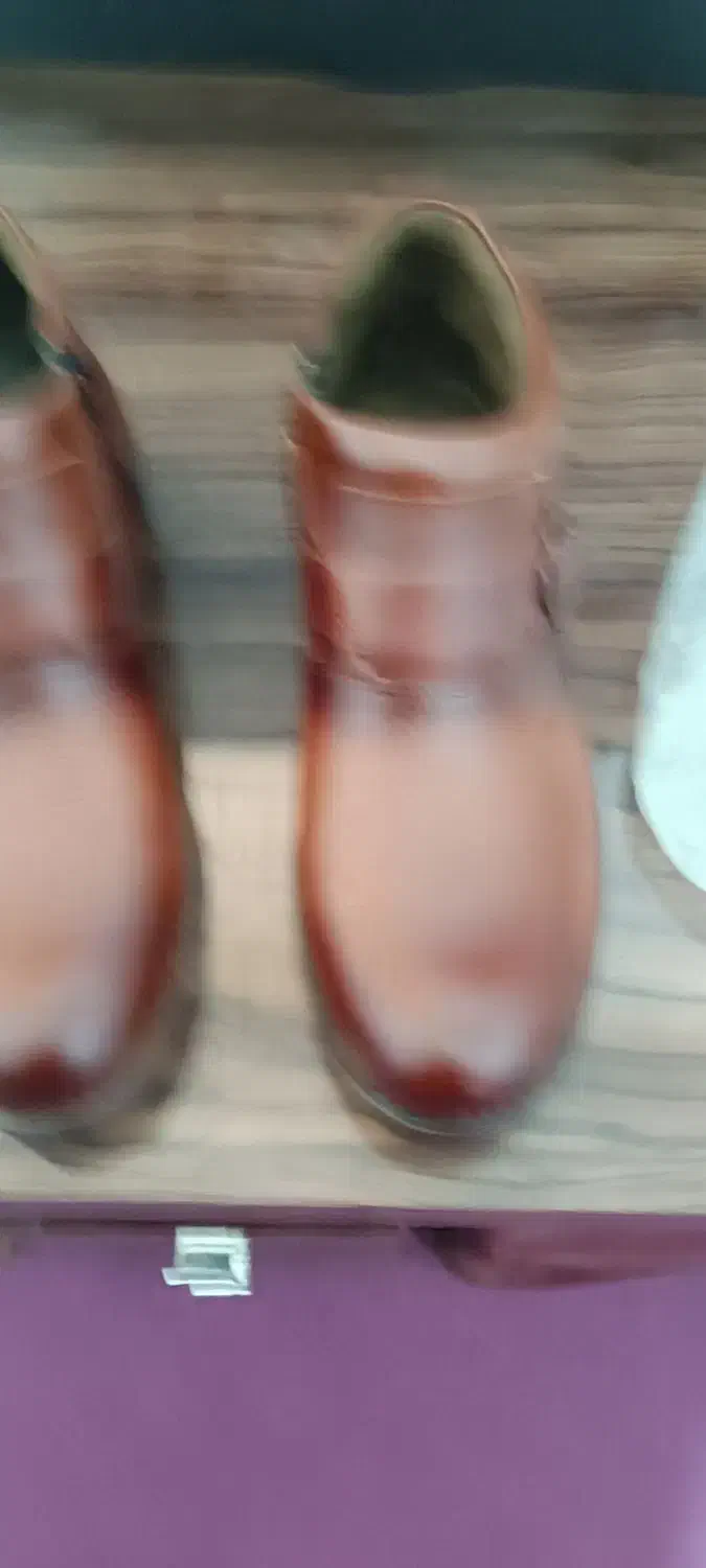 کفش چرم|کیف، کفش، کمربند|مبارکه, |دیوار