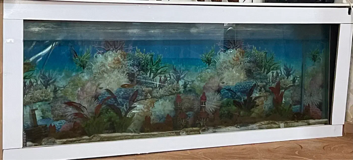 آکواریوم ۲ متری سالم|ماهی|دزفول, |دیوار