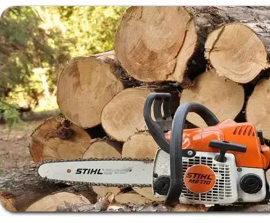 خرید و قطع چوب و انواع درختان باغی و غیره|خدمات باغبانی و درختکاری|چالوس, |دیوار