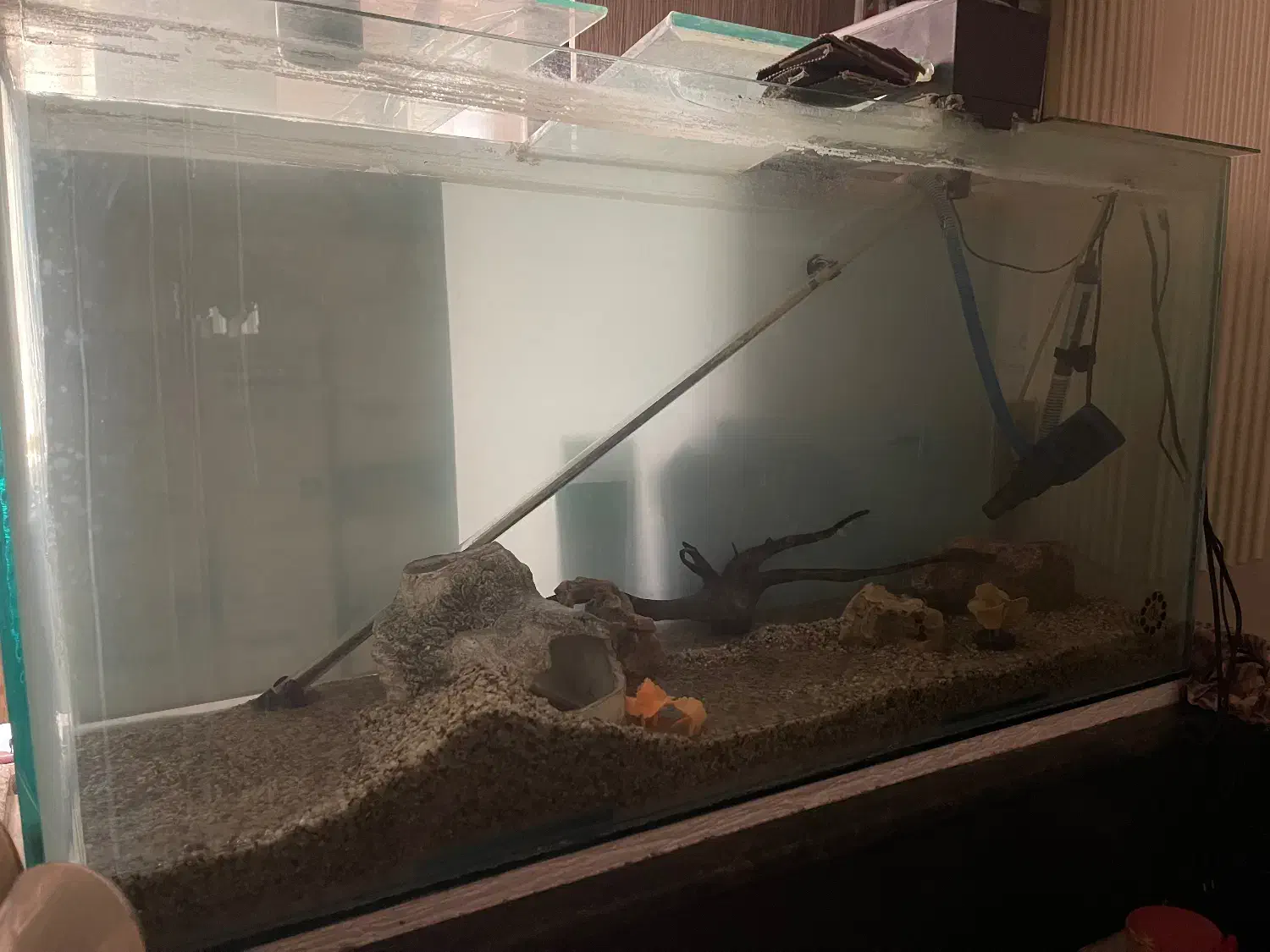 آکواریوم|ماهی|ماهدشت, |دیوار