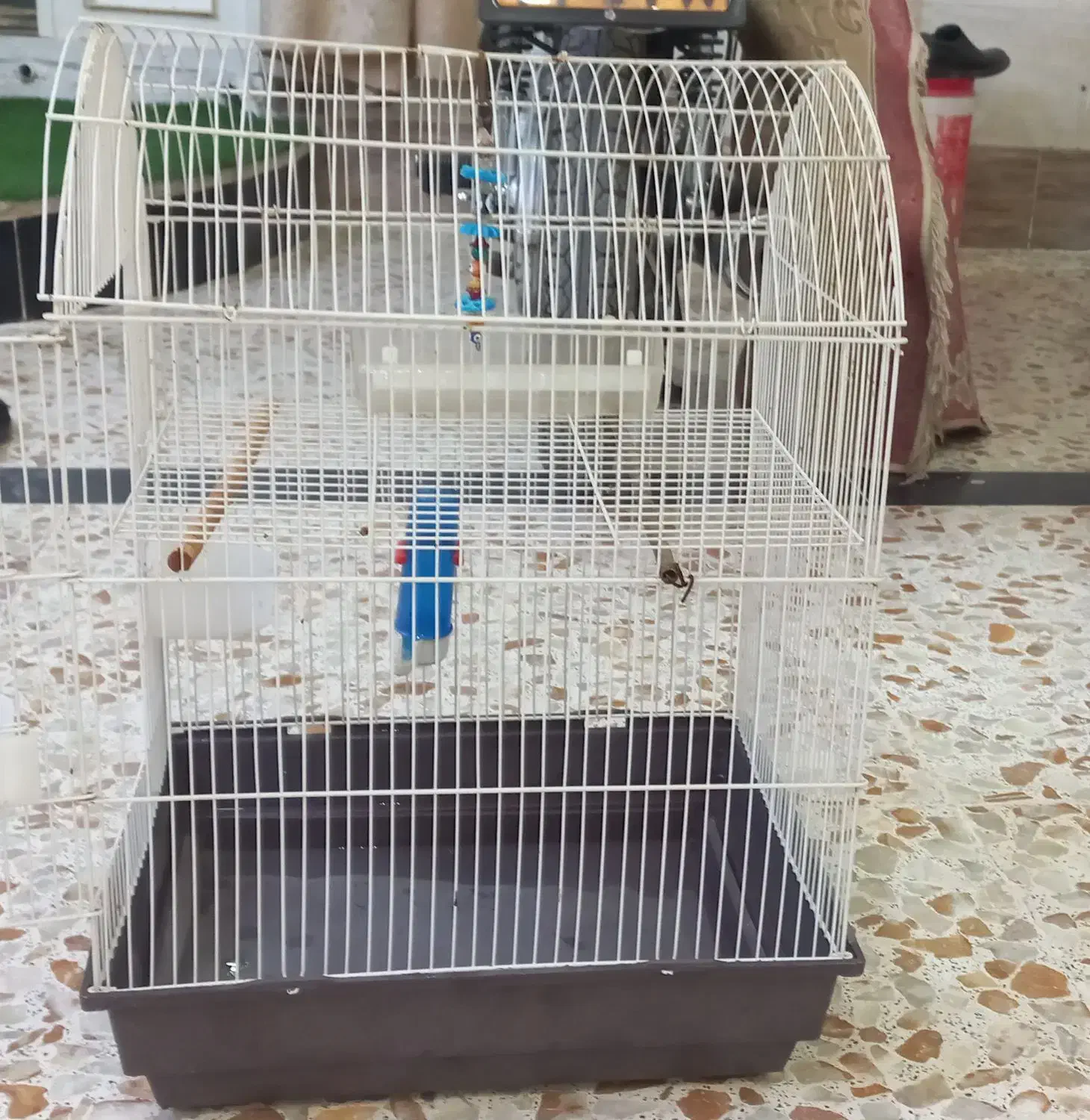 قفس درهویزه|لوازم جانبی حیوانات|سوسنگرد, |دیوار