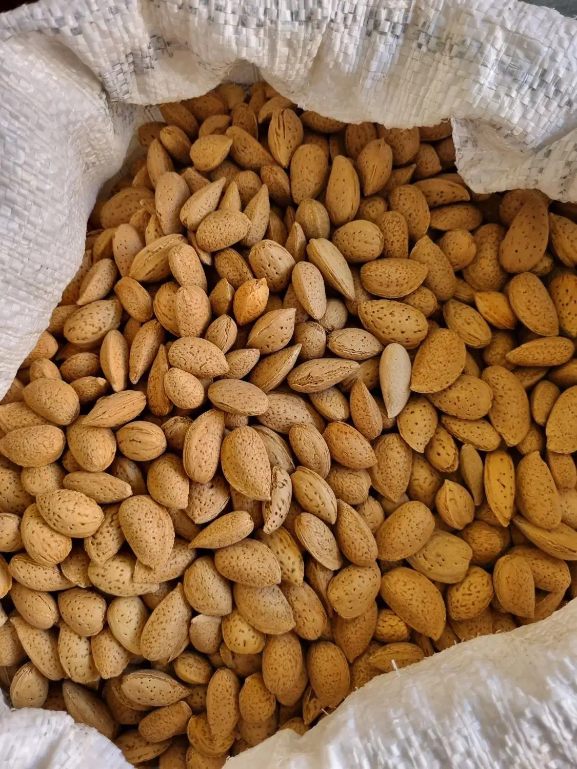 بادام درختی امساله با پوست|خوردنی و آشامیدنی|قم, پردیسان|دیوار