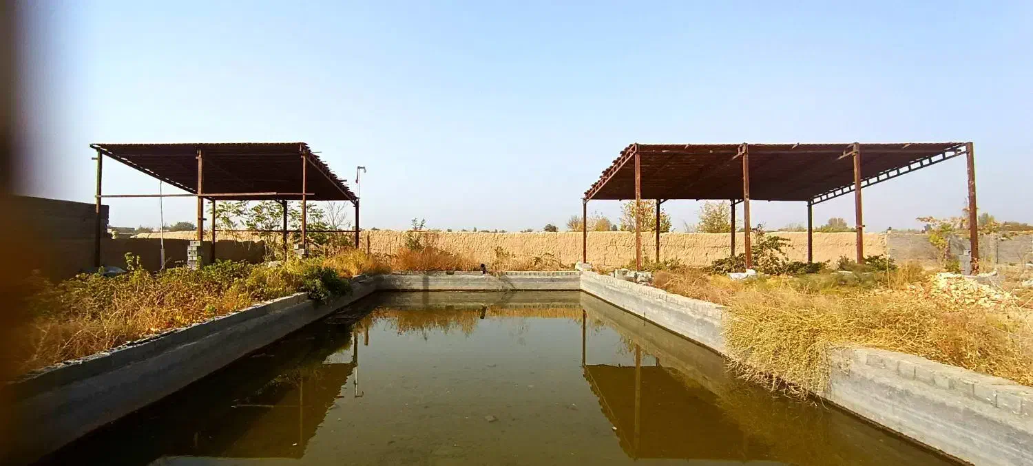 اجاره خانه باغ کارگاه تولیدی انبار/مرغداری/دامداری|اجارهٔ دفتر صنعتی، کشاورزی، تجاری|مشهد, میان ولایت|دیوار