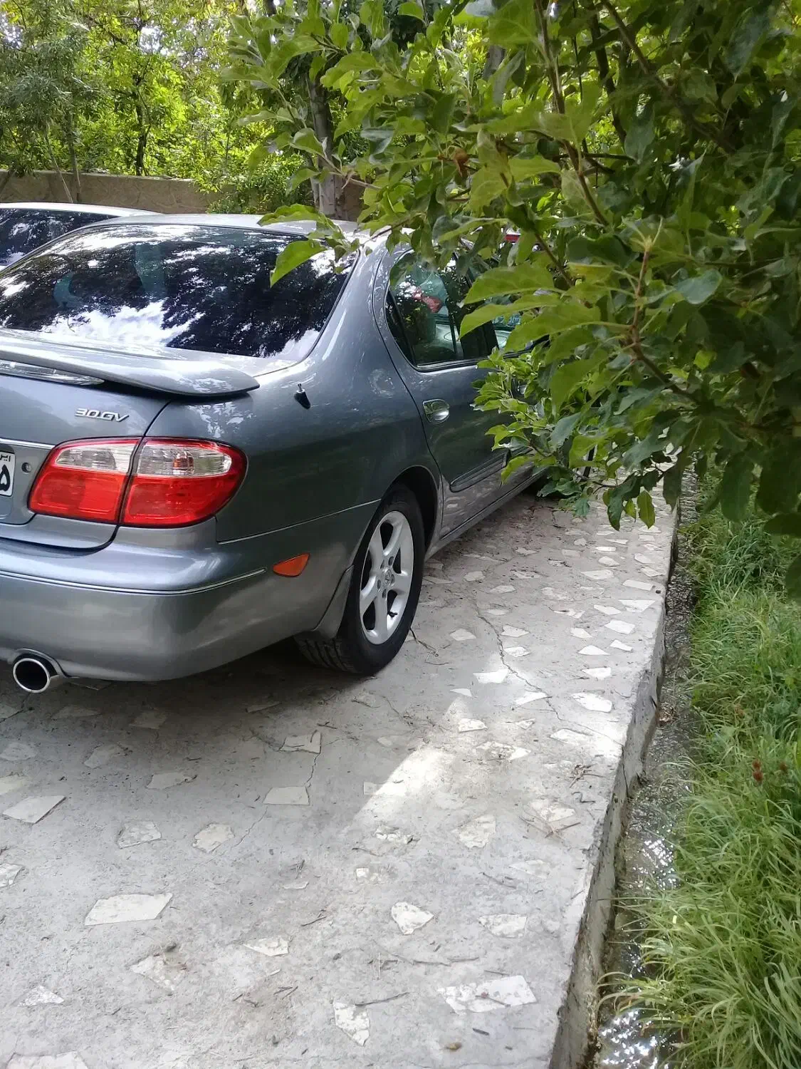 ماکسیما مدل۸۸استثنائی درمدلخودش|خودرو سواری و وانت|تبریز, |دیوار