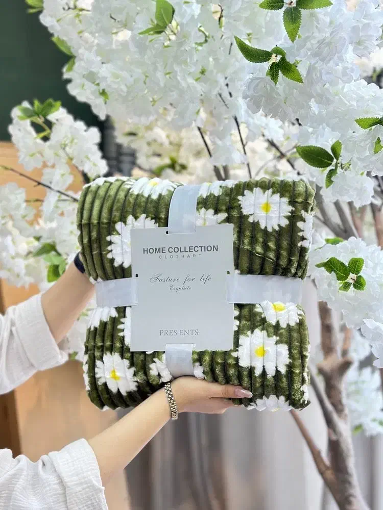 پتو مسافرتی|رختخواب، بالش، پتو|دزفول, |دیوار