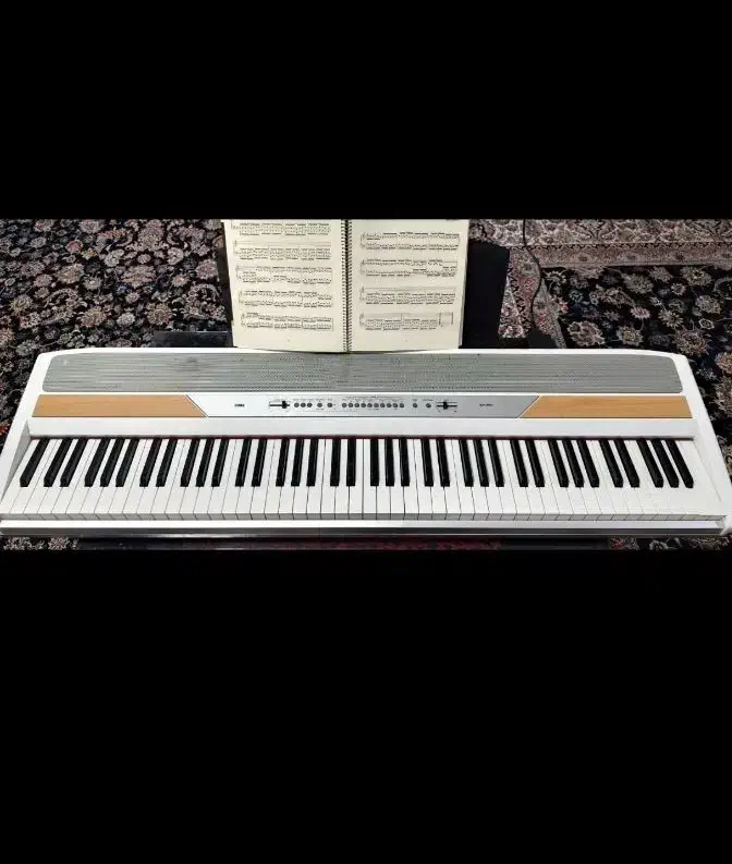 پیانو دیجیتال قیمت مناسب|پیانو، کیبورد، آکاردئون|شیراز, دست خضر|دیوار