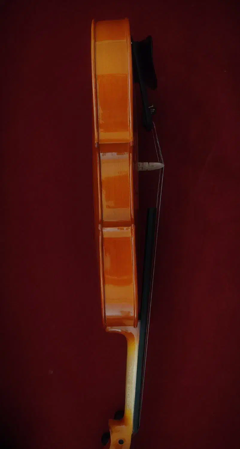 ویولن خوش رنگ TF student mode 4/4|ویولن|اصفهان, تخت فولاد|دیوار