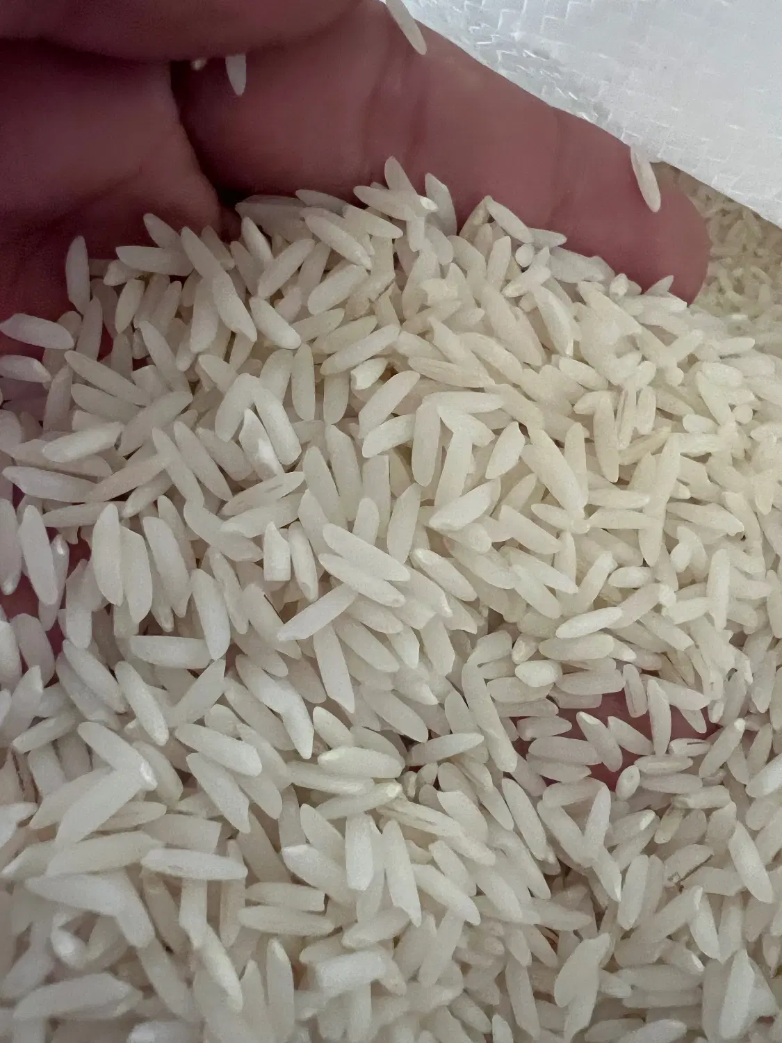 برنج|خوردنی و آشامیدنی|تهران, نیروی دریایی|دیوار