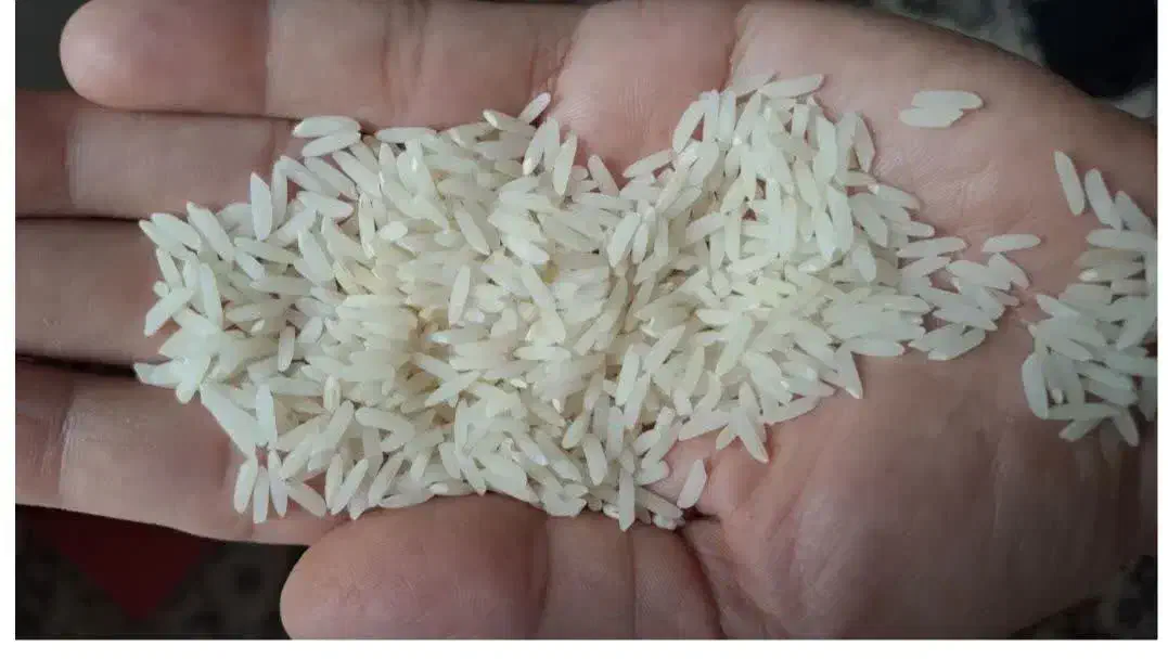 برنج طارم محلی معطر ومرغوب|خوردنی و آشامیدنی|ساری, |دیوار