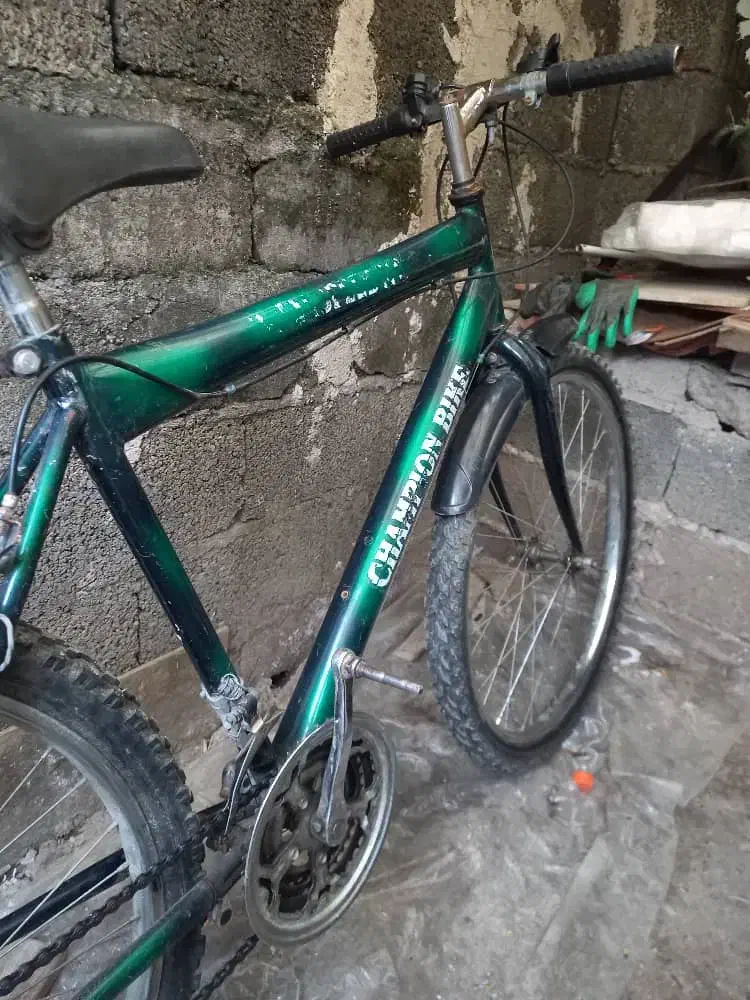 دوچرخه  26|دوچرخه، اسکیت، اسکوتر|صومعه‌سرا, |دیوار