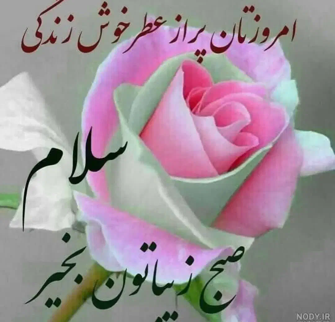 کارت ملی بنام اسمعیل پور گمشده|اشیا|میناب, |دیوار